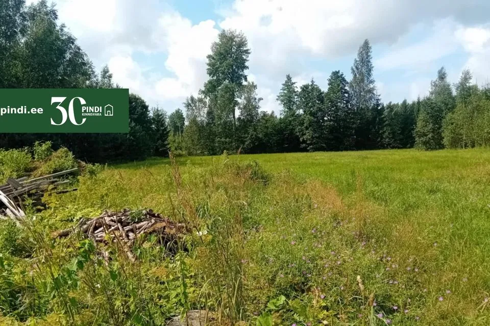 Cultivated land, 22030 m² land in Häädemeeste vald, Urissaare küla