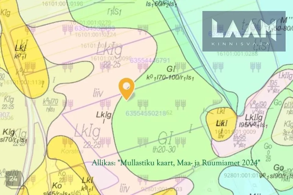 Maatulundusmaa, 92781 m² Maa - Väike-Maarja vald, Hirla küla - foto 3