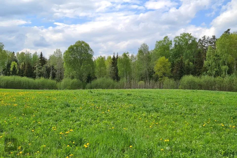 Maatulundusmaa, 145200 m² Maa  -  Otepää vald, Pedajamäe küla - foto 5