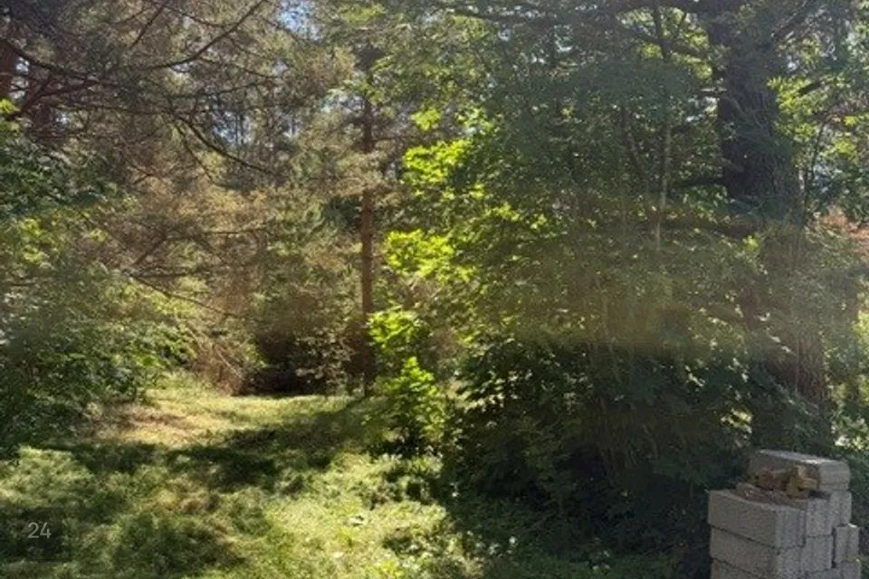 Maatulundusmaa, 1773 m² Maa  -  Lääne-Nigula vald, Tuksi küla / Bergsby