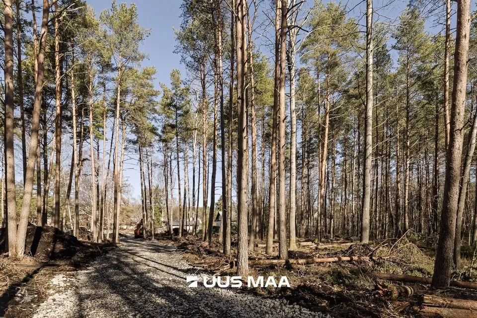 Maatulundusmaa, 4600 m² Maa  -  Tallinn, Nõmme linnaosa - foto 2