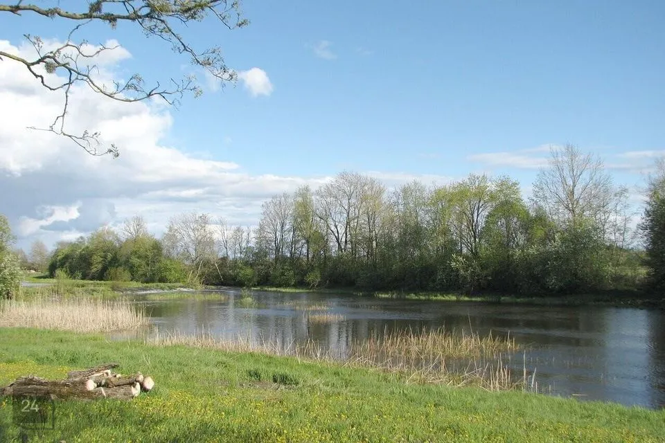 Maatulundusmaa, 3752 m² Maa  -  Märjamaa vald, Vängla küla - foto 2