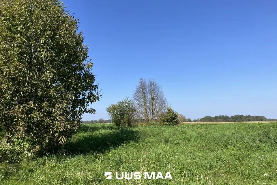 Maatulundusmaa, 13909 m² Maa  -  Nõo vald, Nõgiaru küla - foto 2