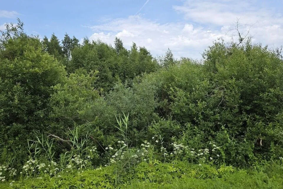 Maatulundusmaa, 2540 m² Maa - Peipsiääre vald, Kasepää alevik - foto 3