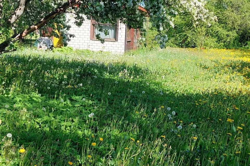 Земля жилой застройки, 1534 m² участок в Lääne-Harju vald, Laulasmaa küla - фото 4