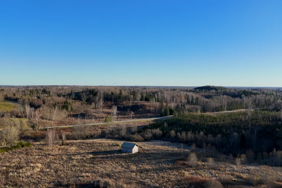 Maatulundusmaa, 38963 m² Maa  -  Otepää vald, Kassiratta küla - foto 3