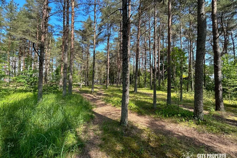 Sihtotstarbeta maa, 1472 m² Maa  -  Tallinn, Nõmme linnaosa - foto 5