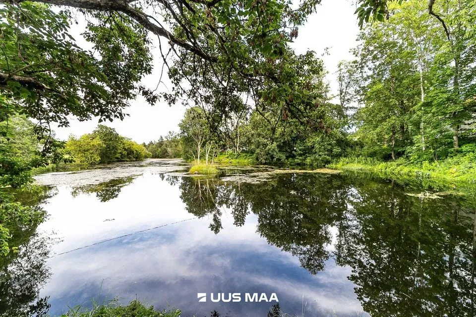 Residential land, 80500 m² land in Kohila vald, Vilivere küla