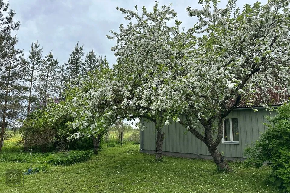 4-комнатная дом в Lüganuse vald, Matka küla - фото 3