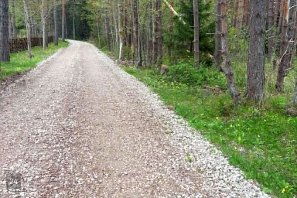 Maatulundusmaa, 14815 m² участок в Hiiumaa vald, Kaleste küla - фото 3