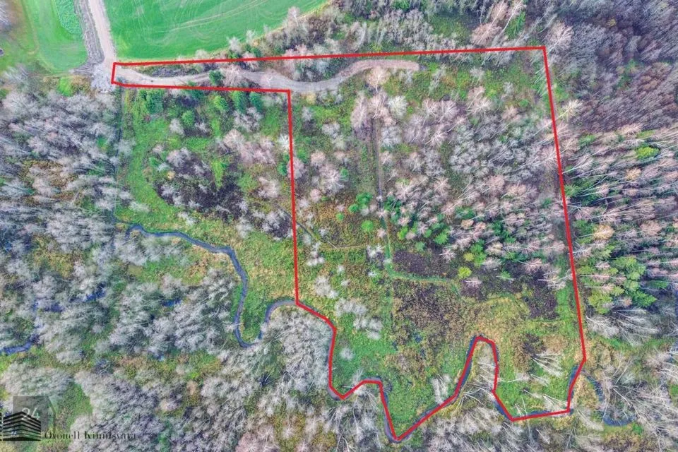 Maatulundusmaa, 22041 m² Maa  -  Kastre vald, Uniküla - foto 5