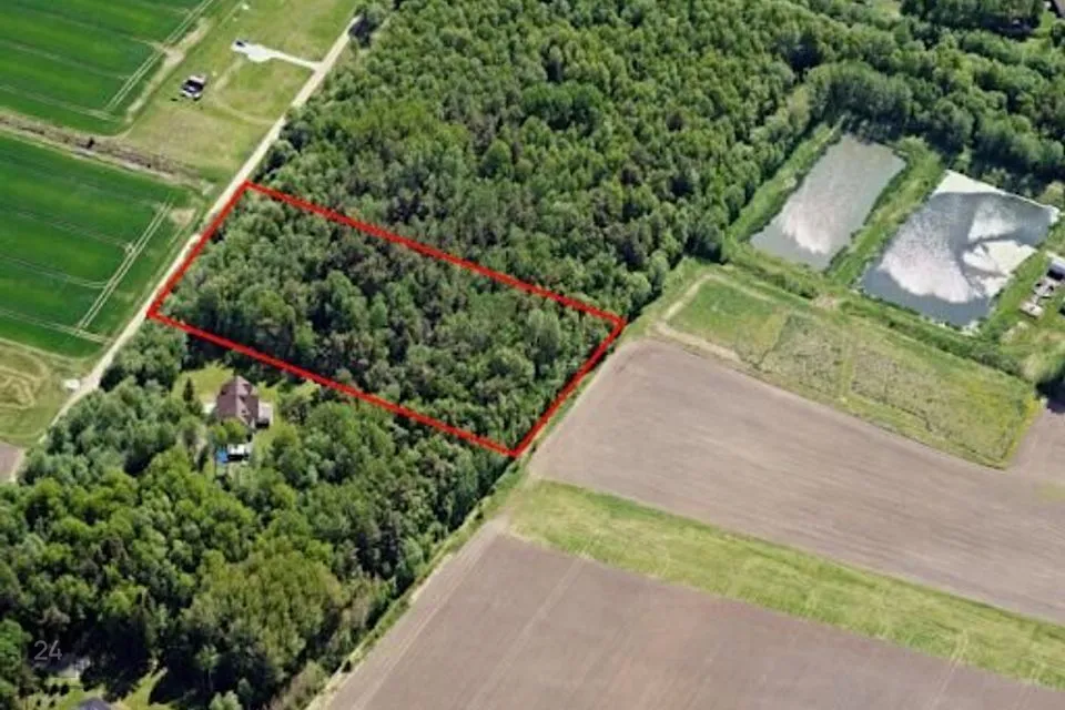 Maatulundusmaa, 10685 m² Maa  -  Saue vald, Ääsmäe küla - foto 2