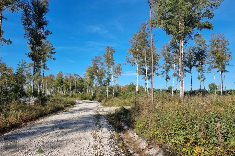 Elamumaa, 9641 m² Maa  -  Lääne-Nigula vald, Österby küla - foto 2