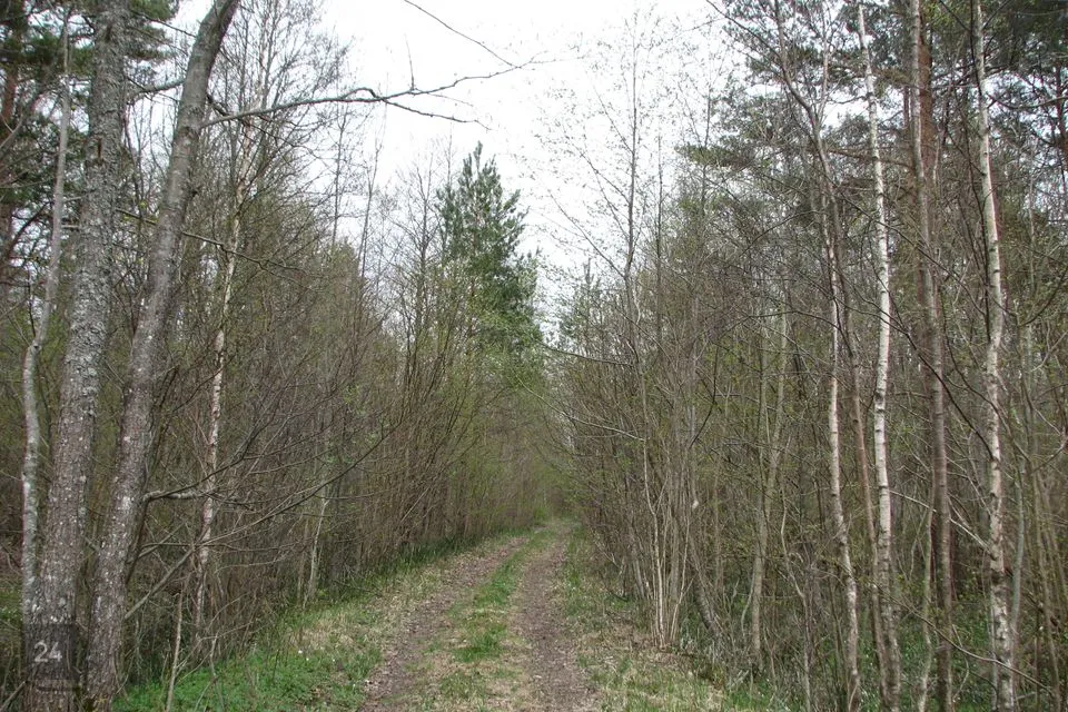 Maatulundusmaa, 29374 m² Maa - Lääne-Nigula vald, Telise küla / Tällnäs