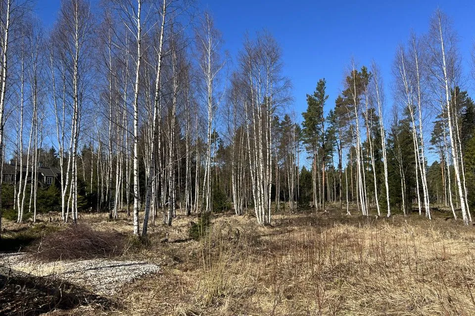 Elamumaa, 2480 m² Maa - Saku vald, Roobuka küla - foto 5