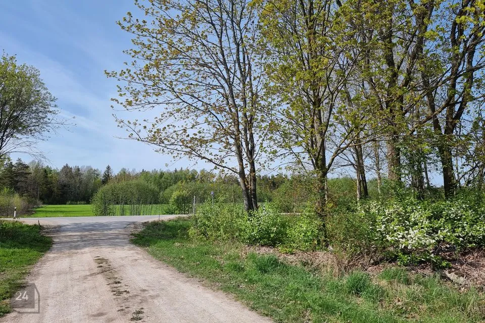 Maatulundusmaa, 21263 m² Maa  -  Lääne-Nigula vald, Uugla küla - foto 3