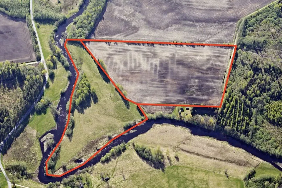Maatulundusmaa, 130971 m² участок в Türi vald, Jändja küla - фото 2