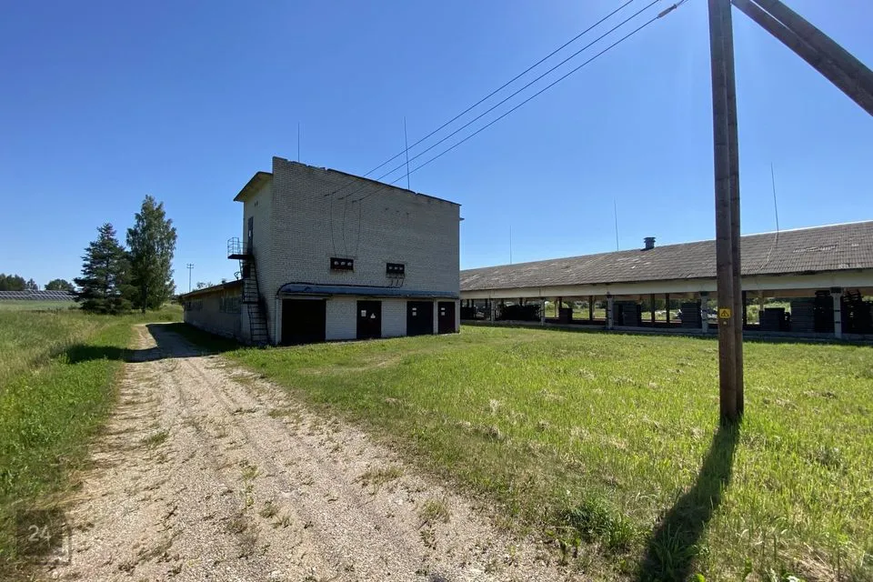 Tootmismaa, 47260 m² Maa - Antsla vald, Vaabina küla