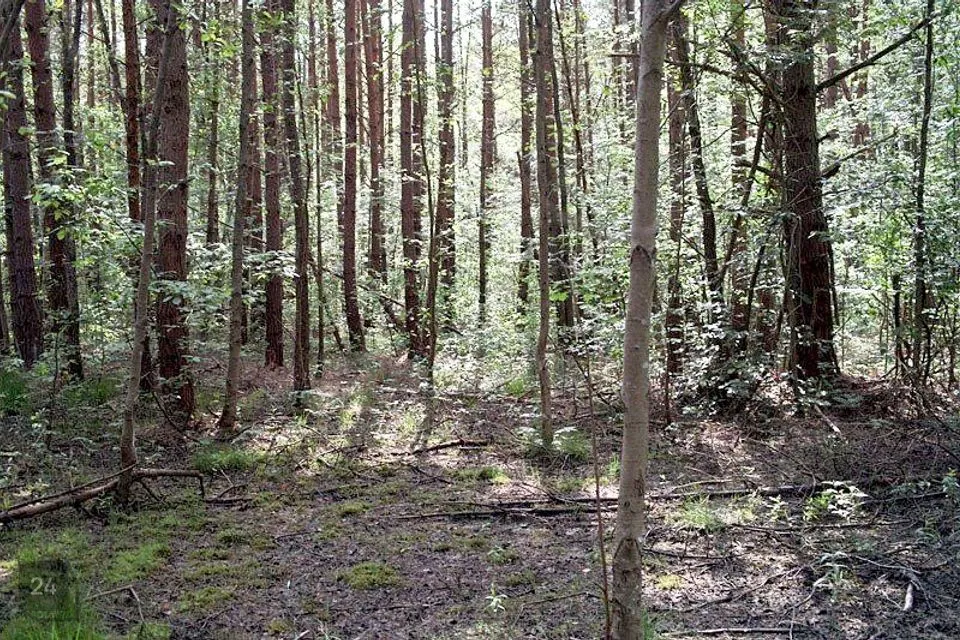 Maatulundusmaa, 9454 m² Maa - Hiiumaa vald, Jausa küla - foto 3