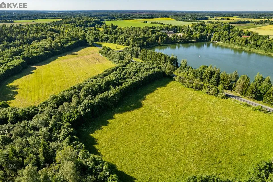 Maatulundusmaa, 260614 m² Maa  -  Saue vald, Pärinurme küla - foto 3