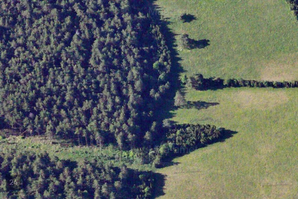 Maatulundusmaa, 41102 m² Maa  -  Saaremaa vald, Kõrkvere küla - foto 3