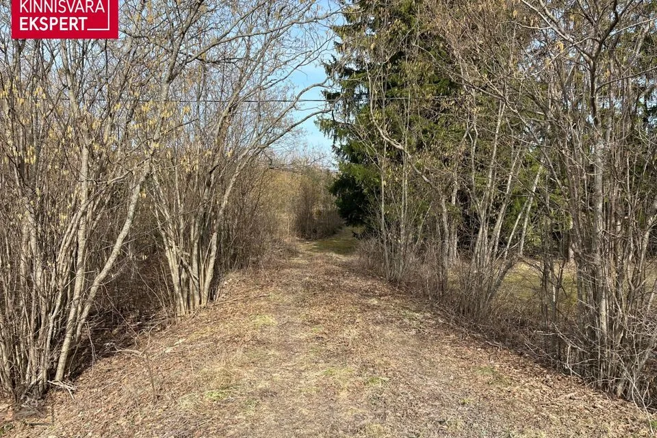 Maatulundusmaa, 31700 m² Maa  -  Lääne-Harju vald, Valkse küla - foto 4