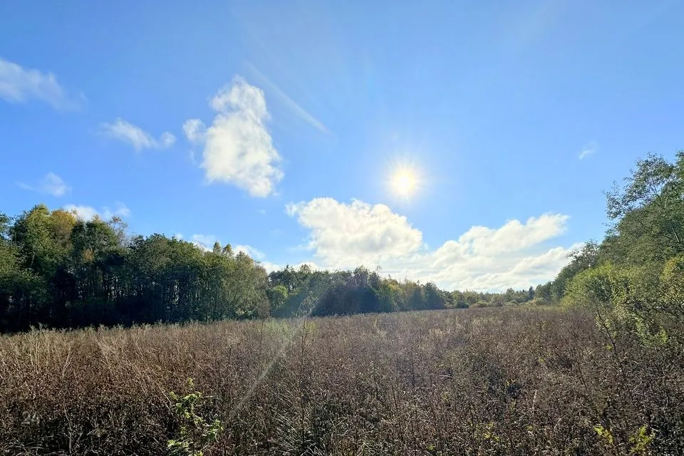 Maatulundusmaa, 33932 m² Maa  -  Kuusalu vald, Valkla küla - foto 2