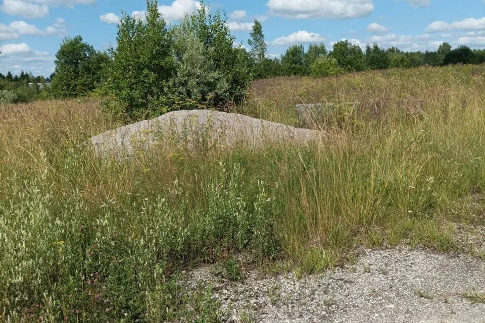 Tootmismaa, 5550 m² Maa - Rapla vald, Alu alevik - foto 3