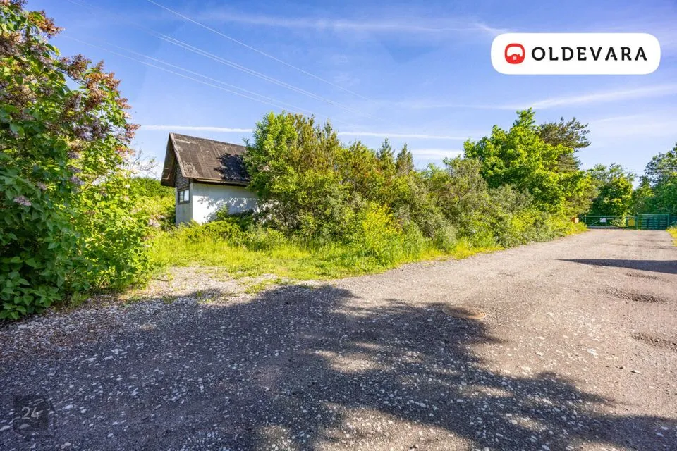 Elamumaa, 1518 m² Maa  -  Harku vald, Türisalu küla - foto 2