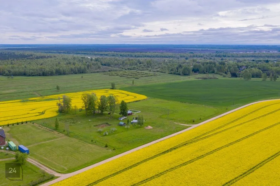 20253 m² Maa  -  Elva vald, Teilma küla - foto 3