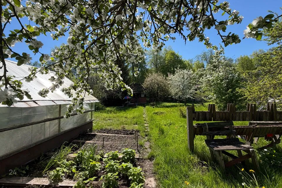 42 m² Suvila  -  Sillamäe linn - foto 5