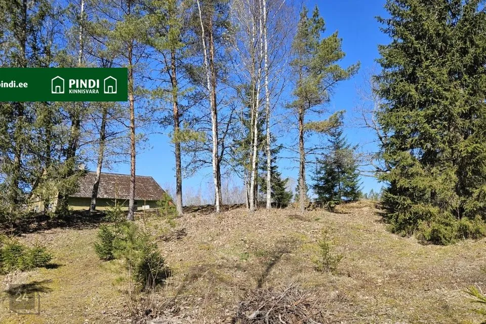 Maatulundusmaa, 19204 m² участок в Rapla vald, Ridaküla - фото 4