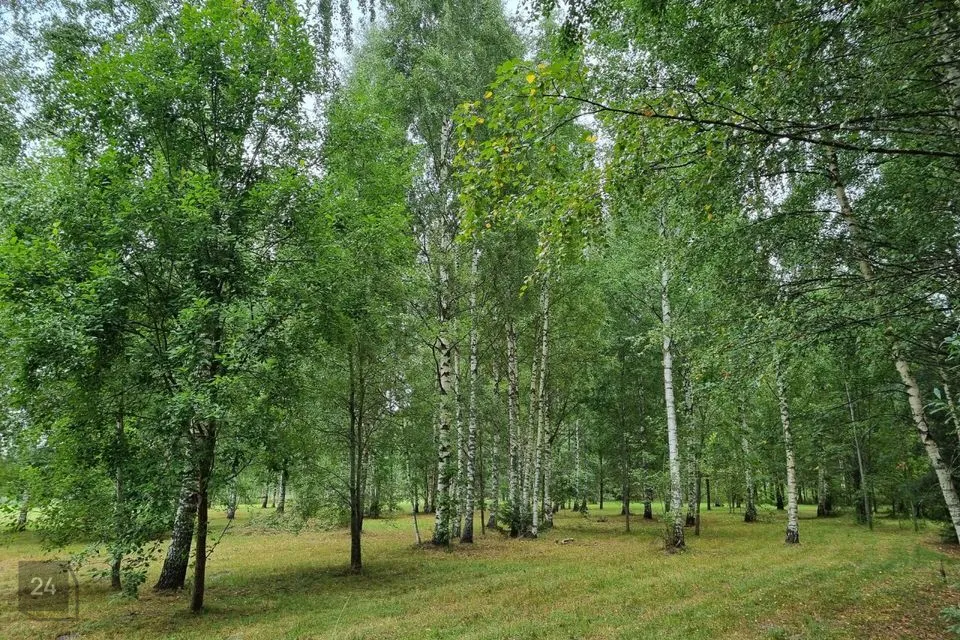 Transpordimaa, 15096 m² Maa  -  Häädemeeste vald, Reiu küla - foto 5