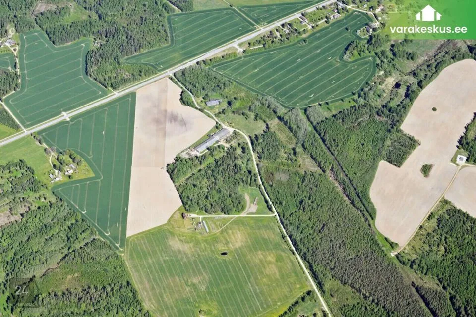 Maatulundusmaa, 138152 m² участок в Räpina vald, Pahtpää küla - фото 2