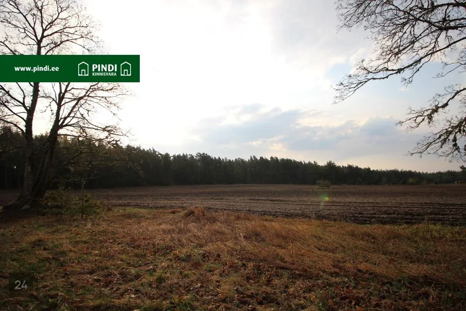 Maatulundusmaa, 32600 m² участок в Hiiumaa vald, Vahtrepa küla - фото 4