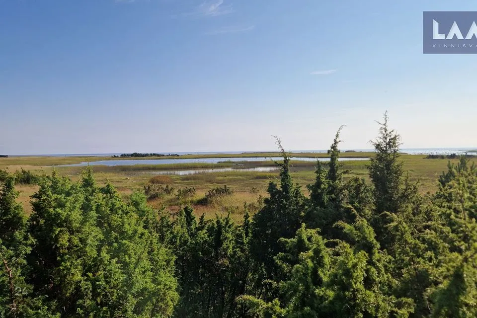 Maatulundusmaa, 81295 m² Maa  -  Saaremaa vald, Suure-Rootsi küla
