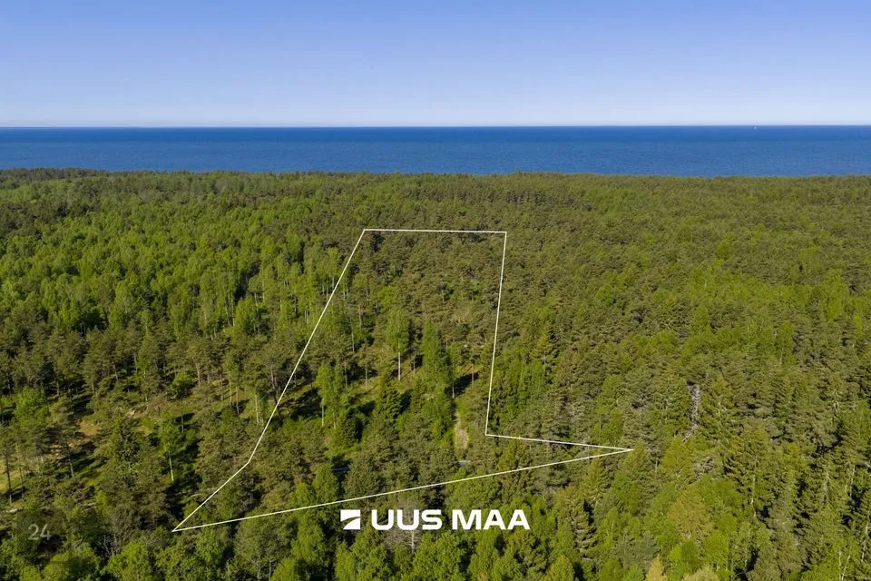 Elamumaa, 7800 m² Maa  -  Lääne-Nigula vald, Elbiku küla / Ölbäck - foto 4