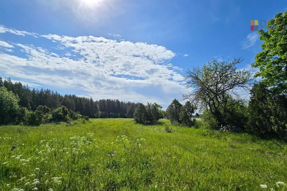 Maatulundusmaa, 20000 m² участок в Muhu vald, Nurme küla