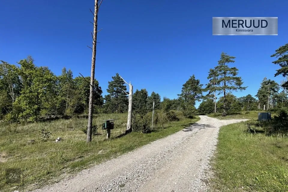 Maatulundusmaa, 24500 m² Maa - Saaremaa vald, Torgu-Mõisaküla