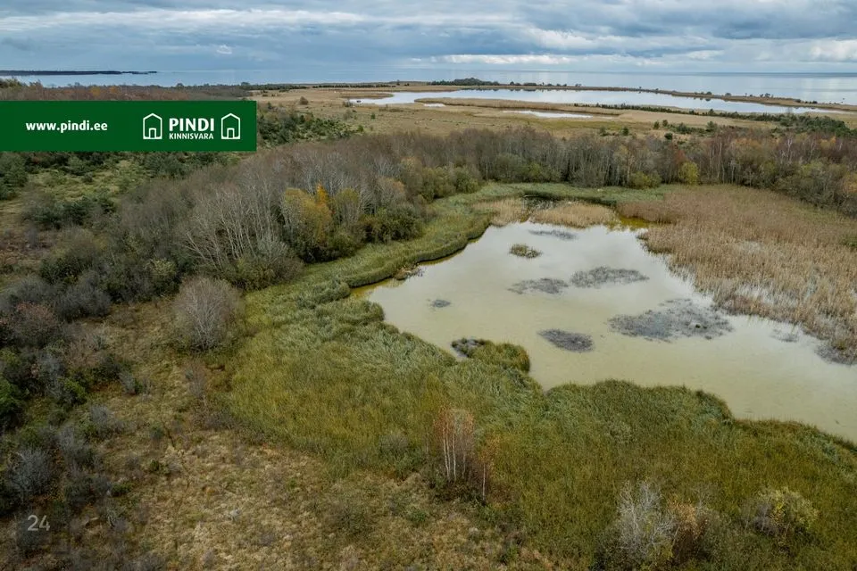 Cultivated land, 68877 m² land in Saaremaa vald, Kungla küla - photo 4