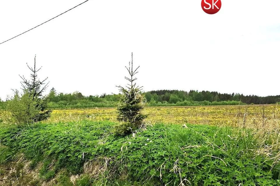 Земля жилой застройки, 5317 m² участок в Lääne-Nigula vald, Tahu küla / Skåtanäs - фото 2
