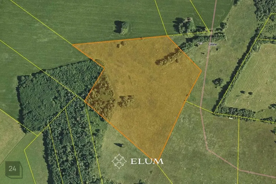 Maatulundusmaa, 57862 m² участок в Tapa vald, Rägavere küla