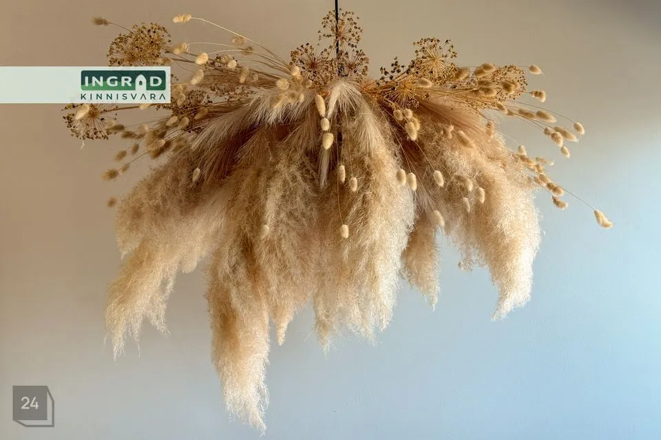 1-toaline Korter  -  Tallinn, Kesklinna linnaosa - foto 5