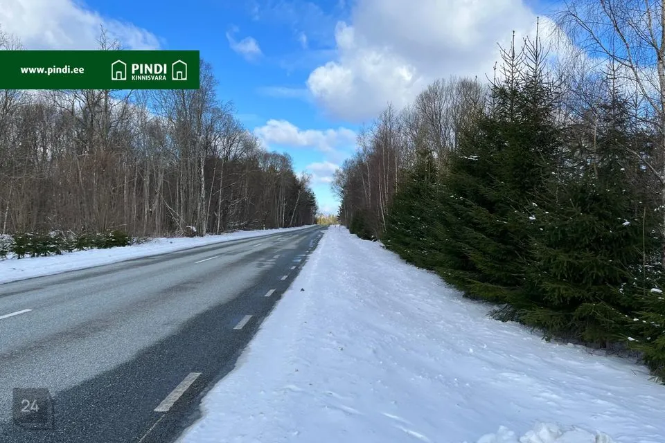 Residential land, 9797 m² land in Saaremaa vald, Saue-Putla küla - photo 4