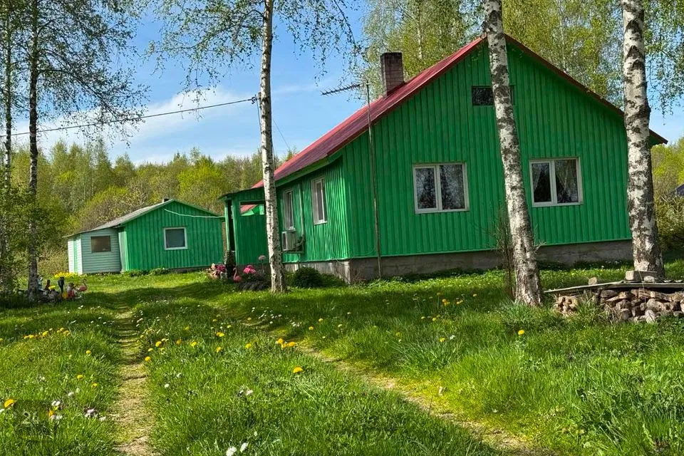 4-комнатная дом в Mustvee vald, Ninasi küla