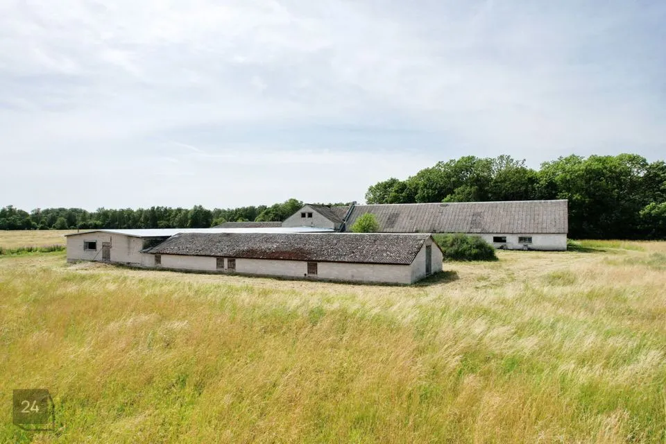 1640 m² Maja  -  Muhu vald, Vanamõisa küla - foto 3