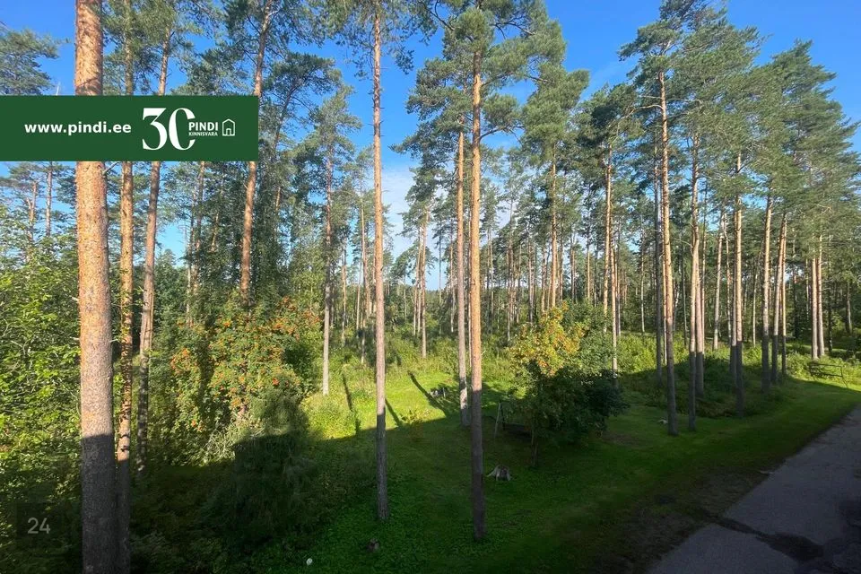 4-toaline Korter  -  Järva vald, Albu küla - foto 3