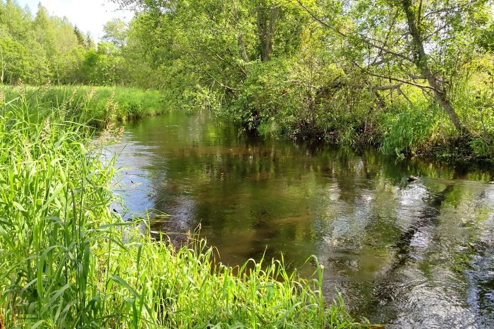 0 m² Maja - Põlva vald, Kadaja küla