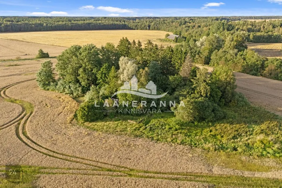 2-toaline Maja  -  Märjamaa vald, Teenuse küla