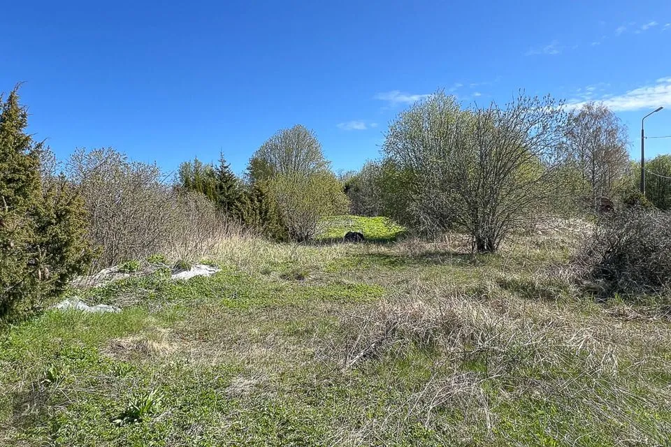 Elamumaa, 1408 m² Maa  -  Harku vald, Viti küla - foto 4